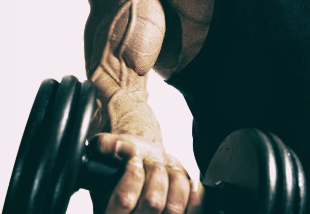 A Beginners Guide To Weight Training